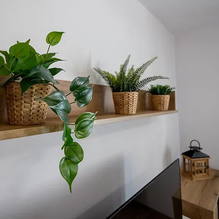 At Bandurskiego Komfortowy Blisko Centrum *